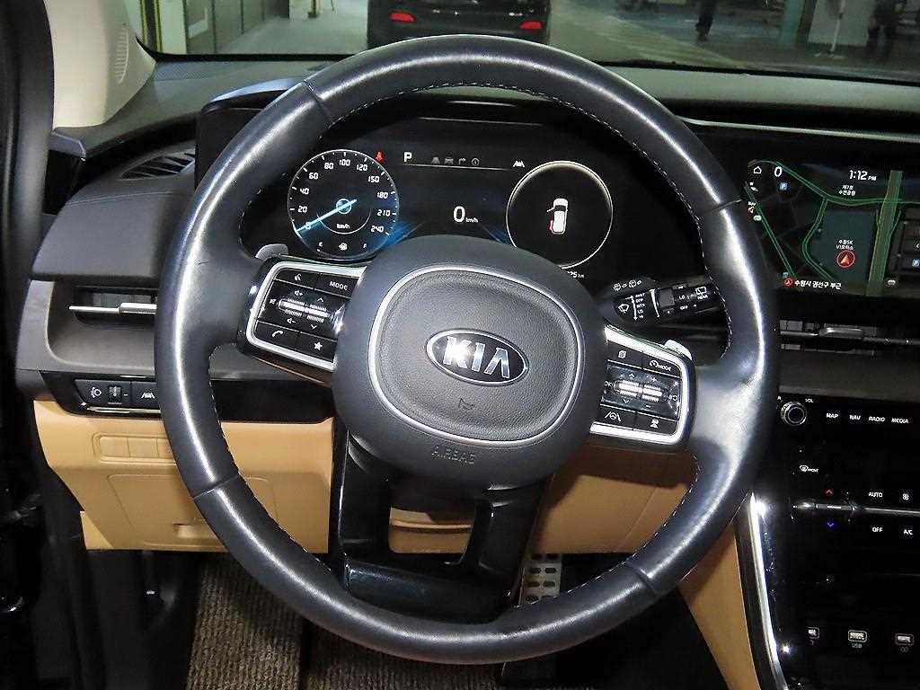 KIA Carnival - Vista 8