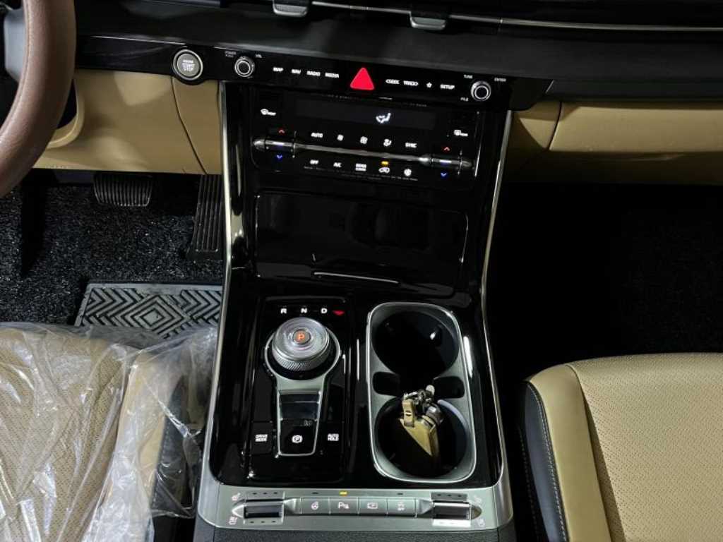 KIA Carnival - Vista 12