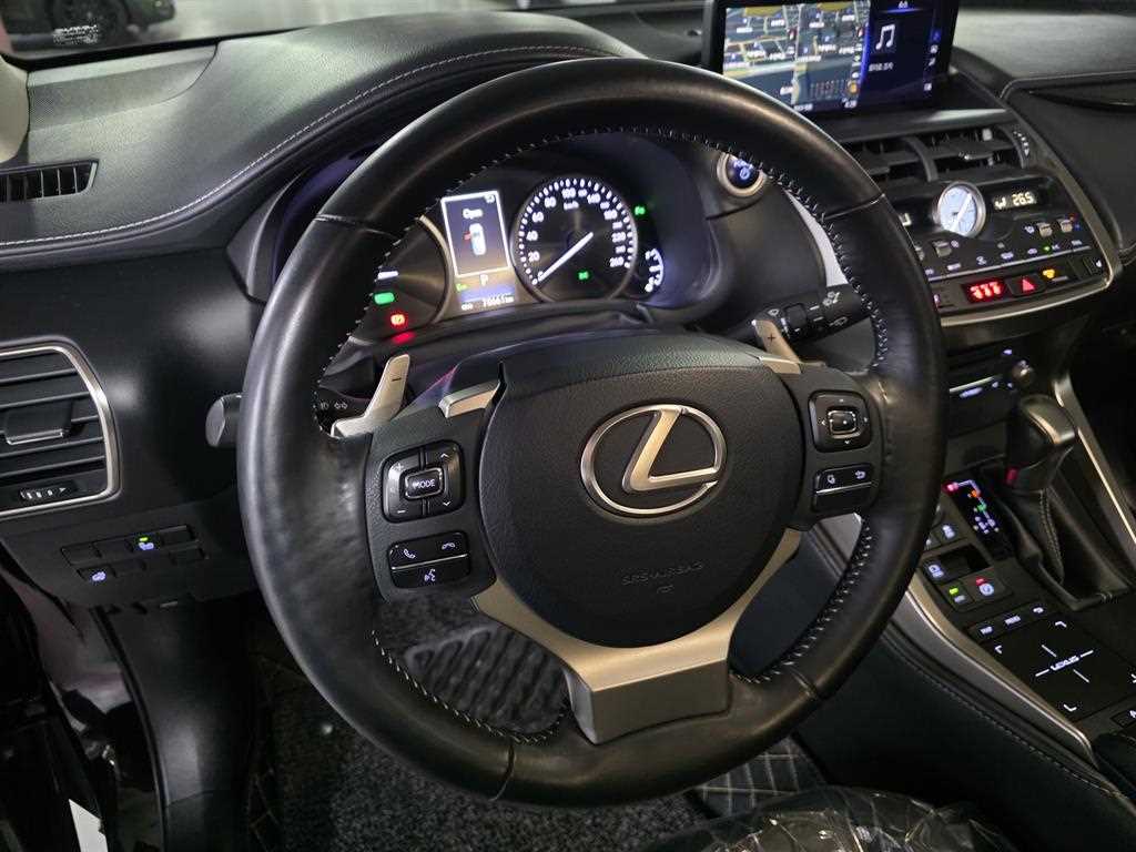 Lexus NX - Vista 11