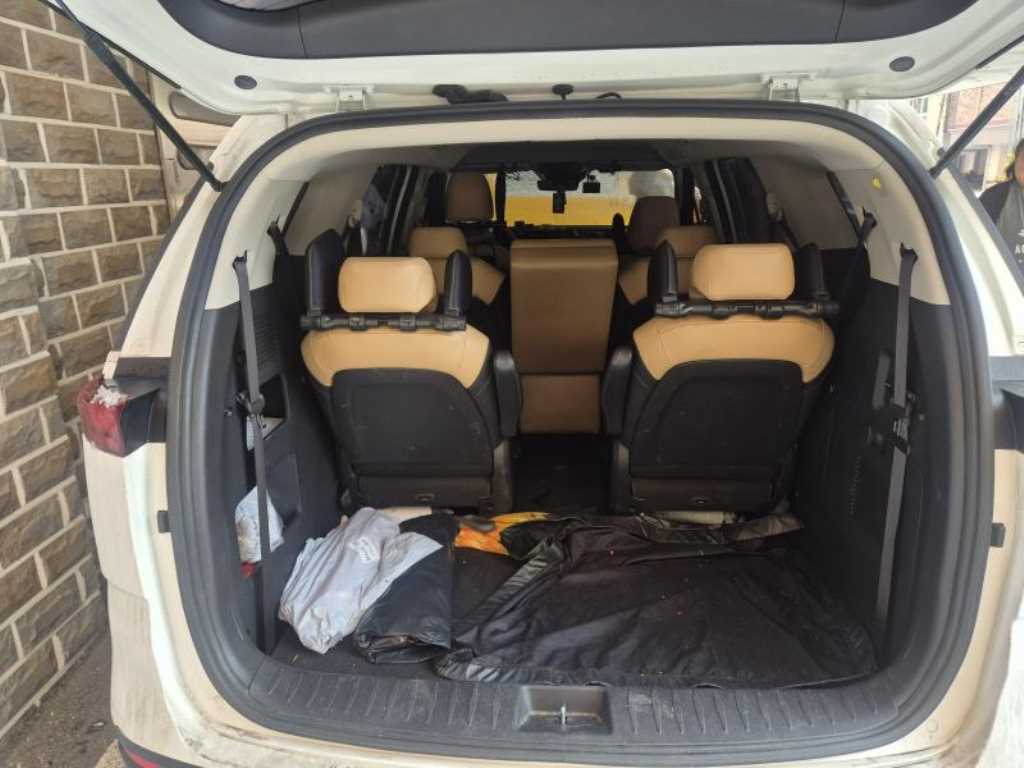 KIA Carnival - Vista 3