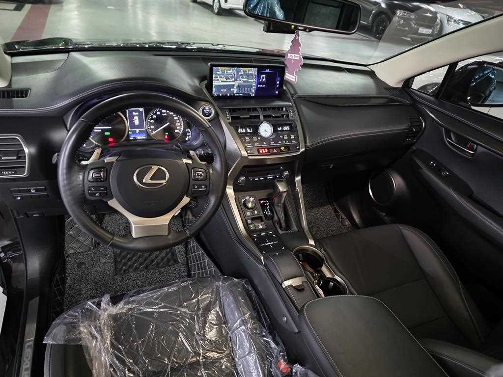 Lexus NX - Vista 10