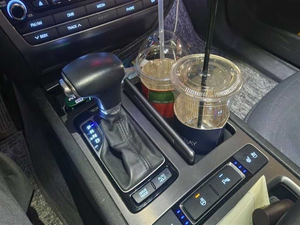 HYUNDAI Genesis - Vista 11