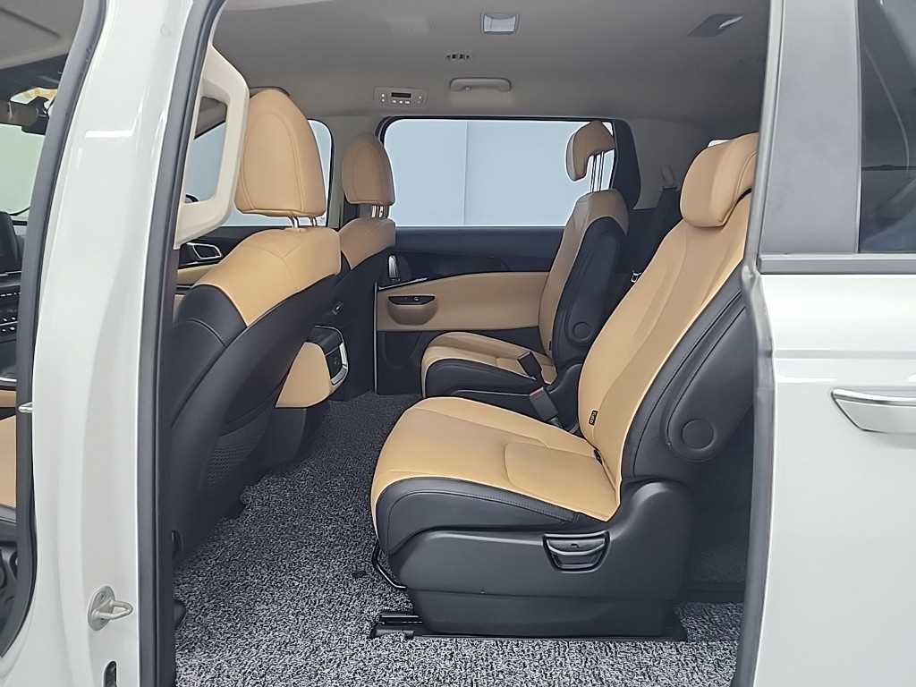 KIA Carnival - Vista 12