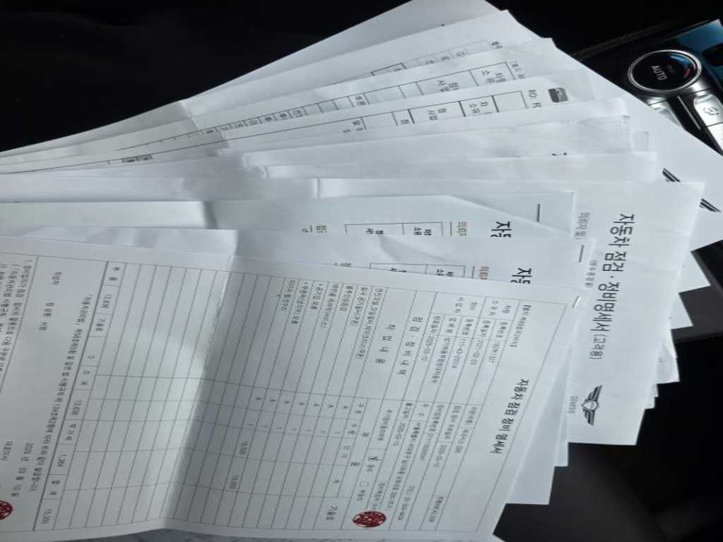 Genesis G90 - Vista 10