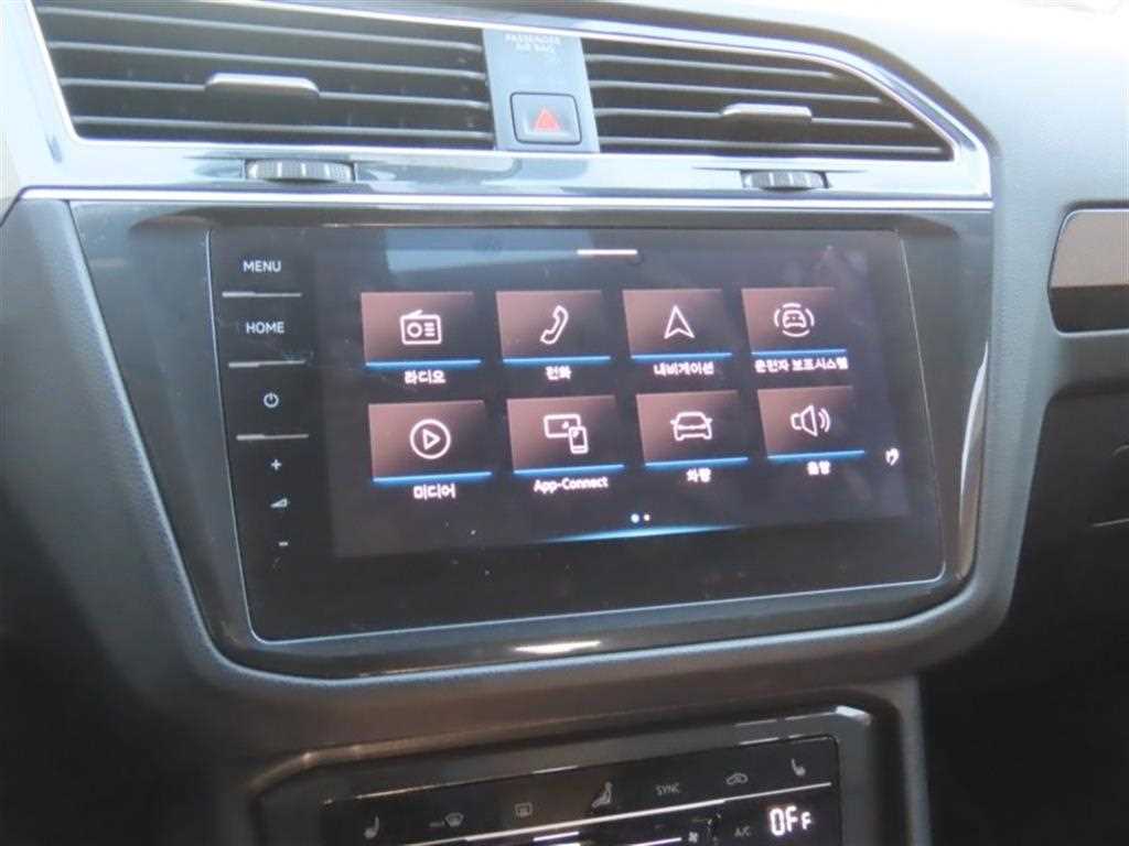 Volkswagen Tiguan - Vista 8