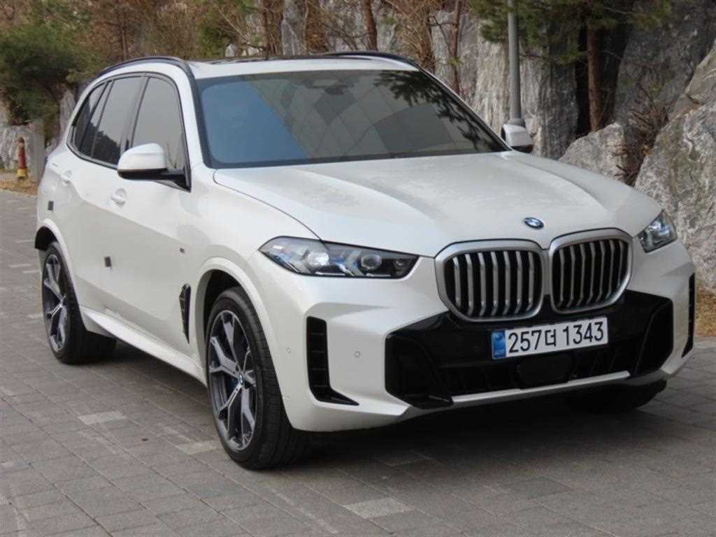 BMW X5 - Vista 2