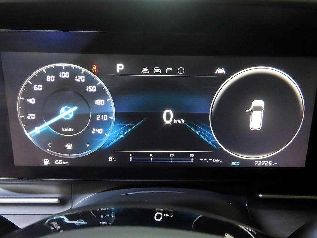 KIA Carnival - Vista 9