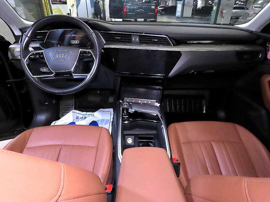 Audi e-Tron - Vista 10