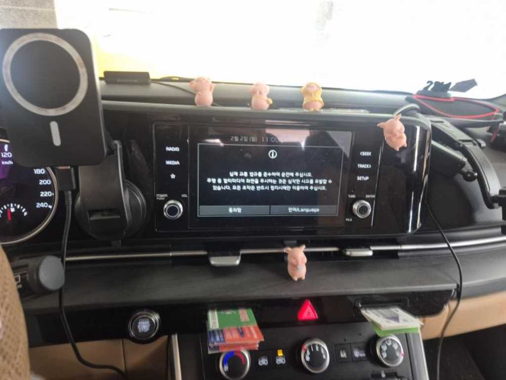 KIA Carnival - Vista 9