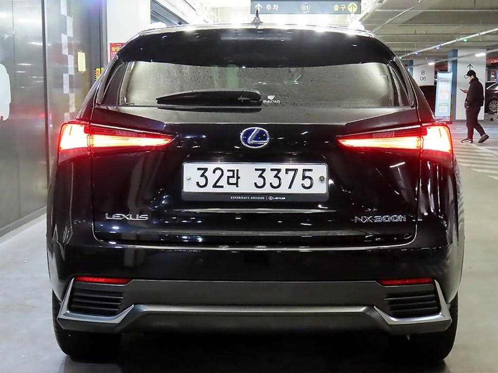 Lexus NX - Vista 5