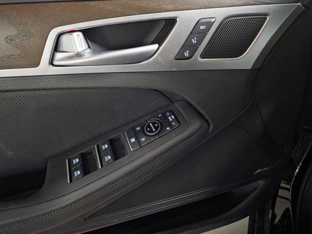 HYUNDAI Genesis - Vista 12