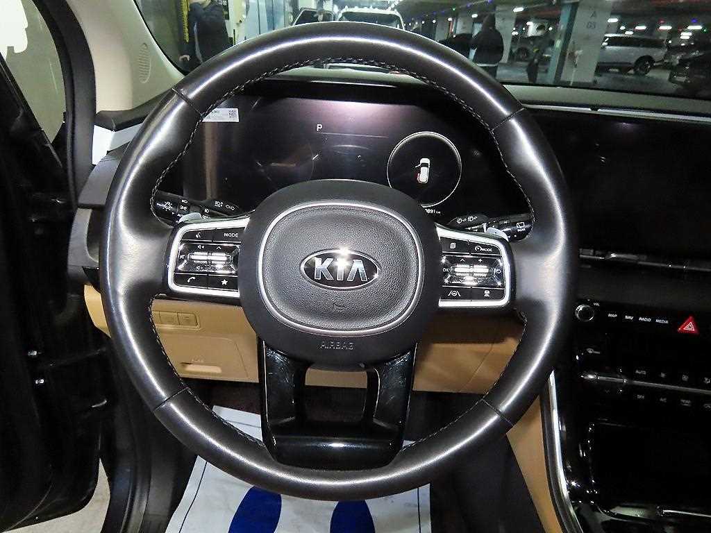 KIA Carnival - Vista 8