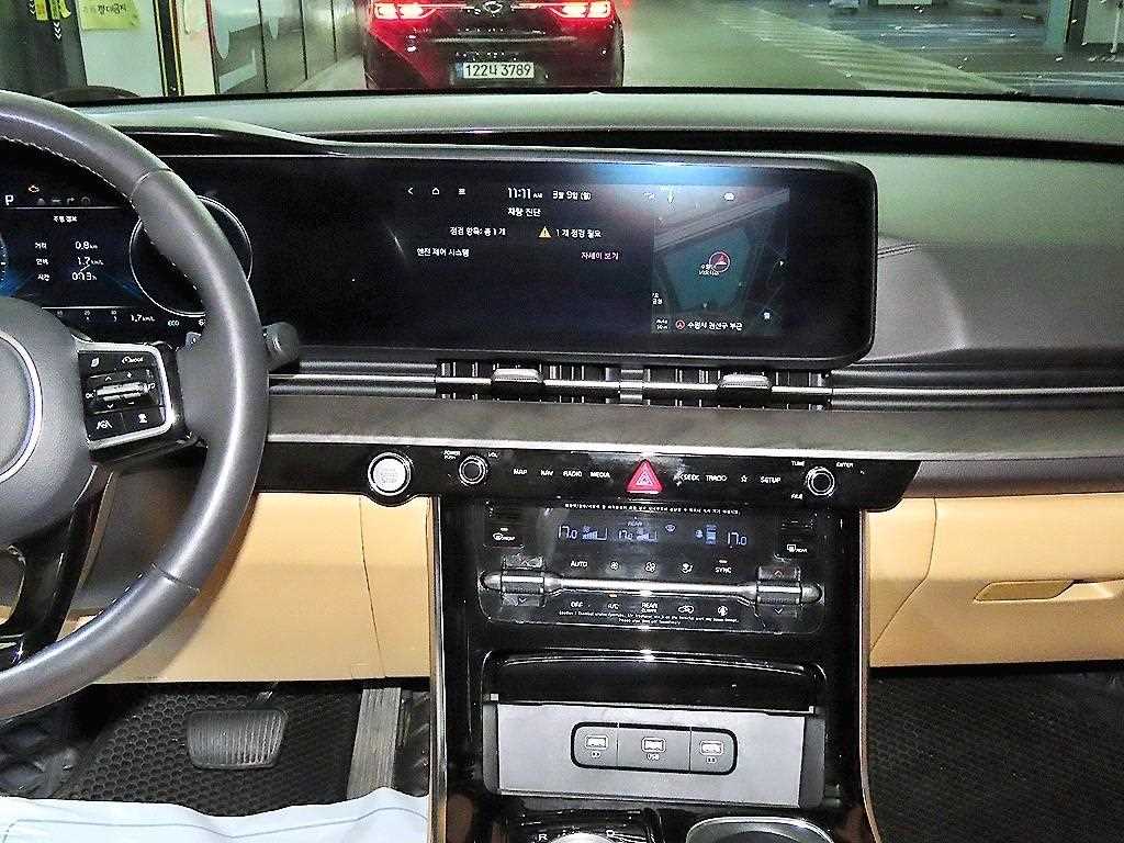 KIA Carnival - Vista 11