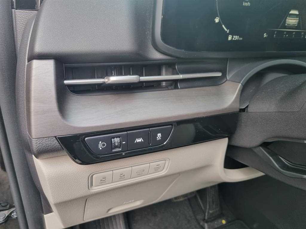 KIA Carnival - Vista 12