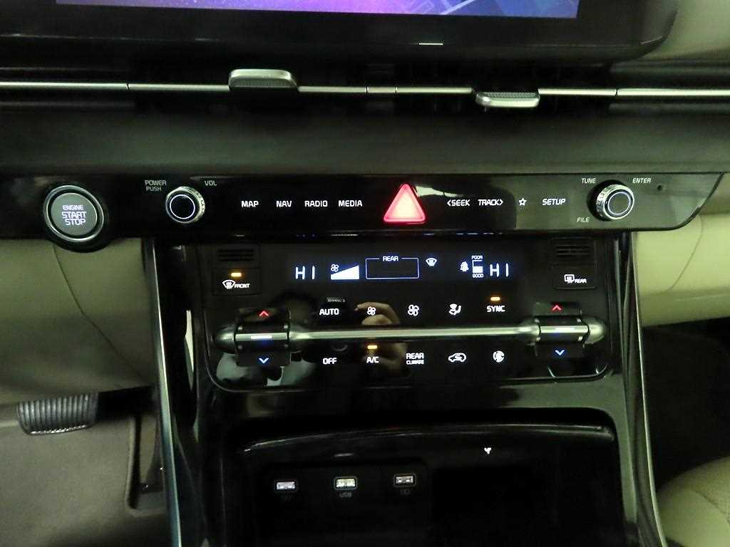 KIA Carnival - Vista 10