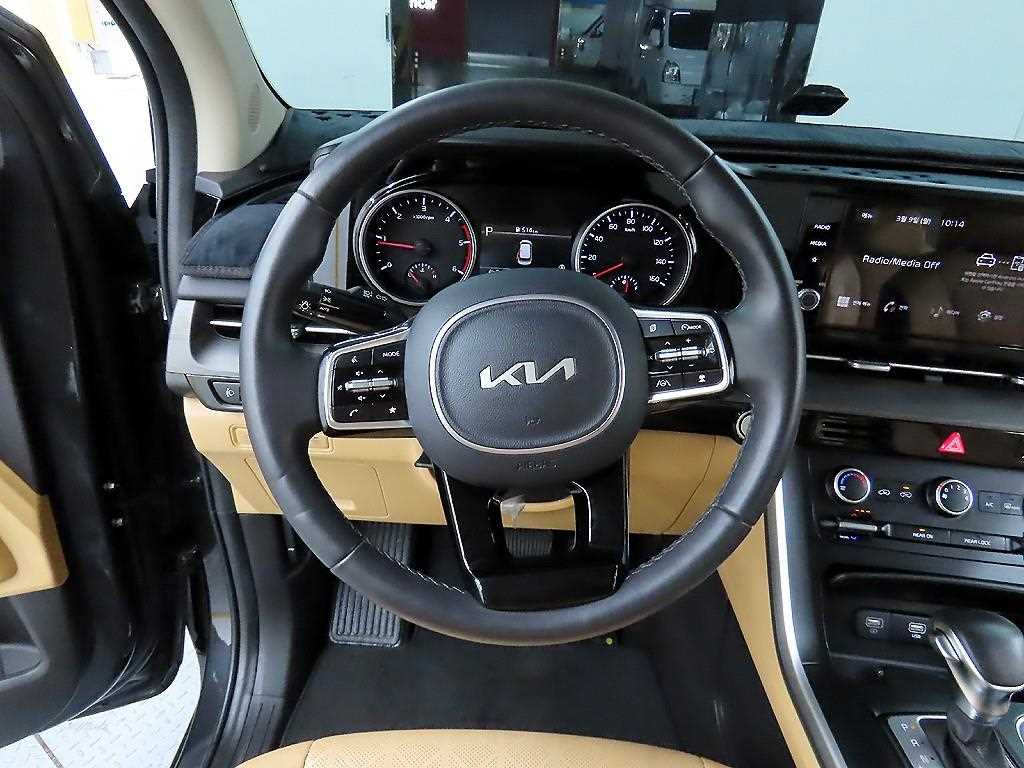 KIA Carnival - Vista 9