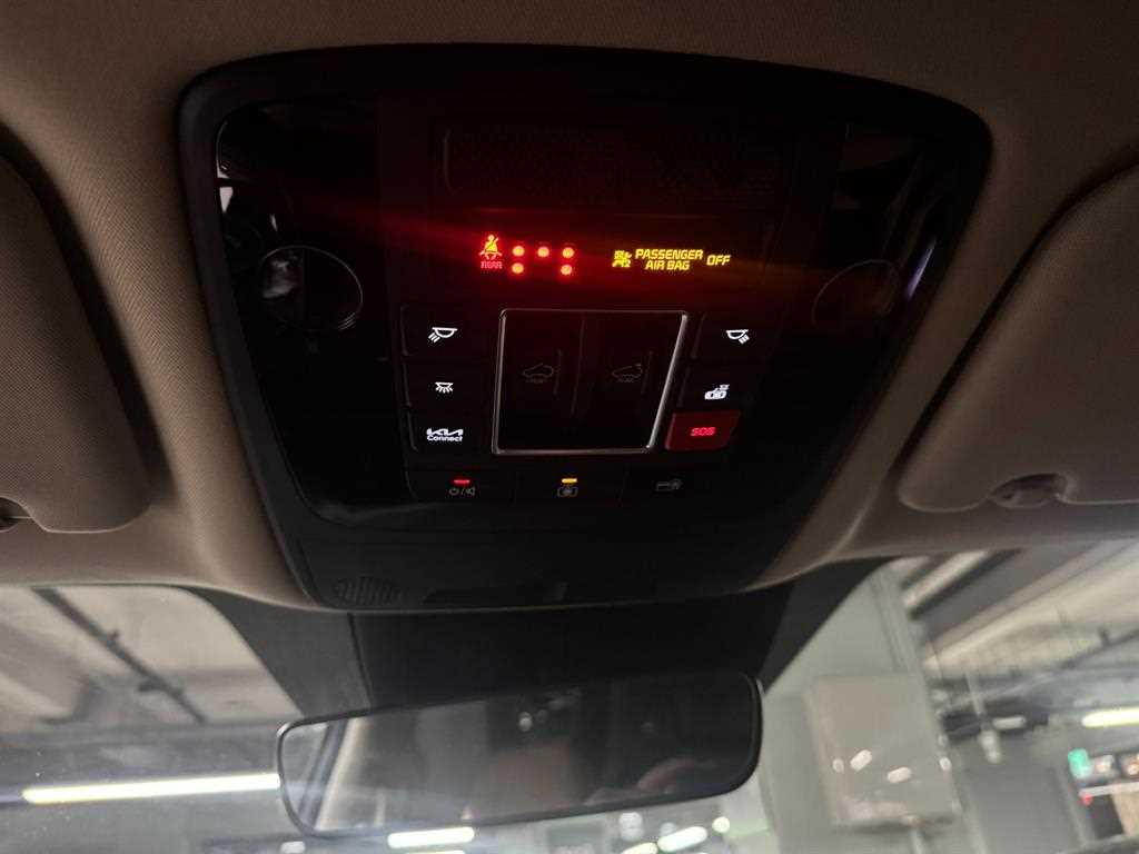 KIA Carnival - Vista 11