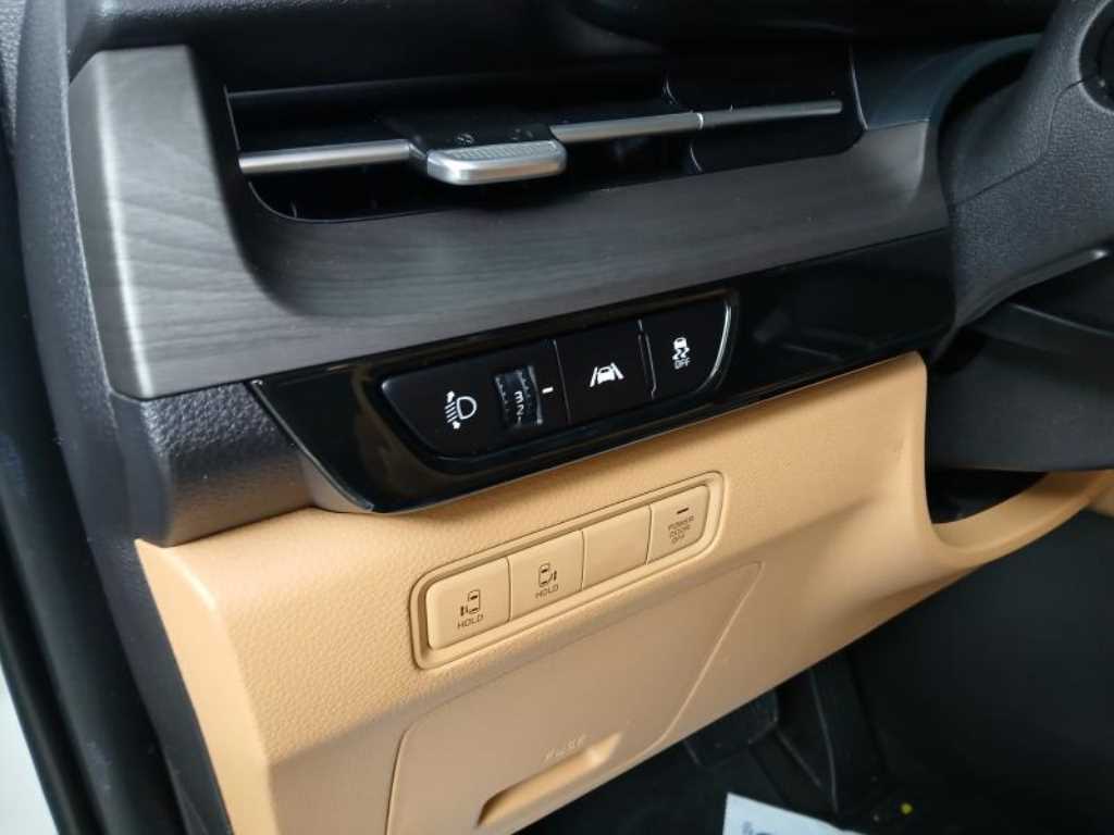 KIA Carnival - Vista 11