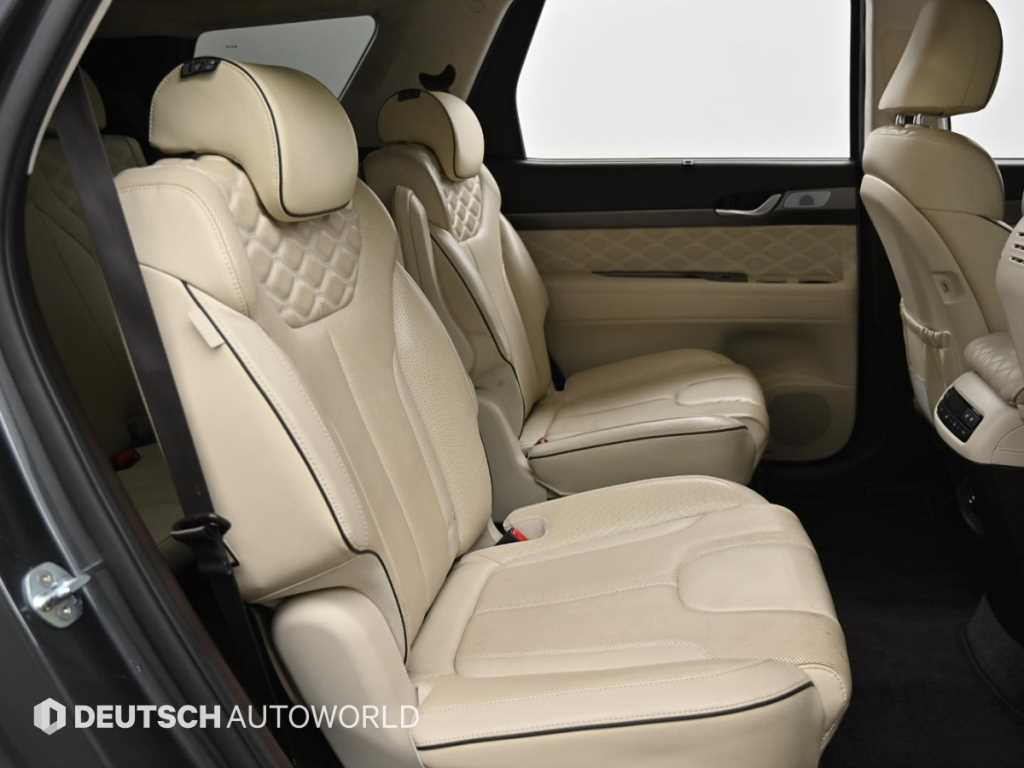 HYUNDAI Palisade - Vista 12