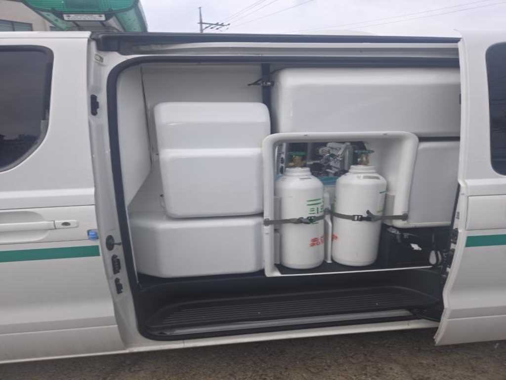 HYUNDAI Starex - Vista 12