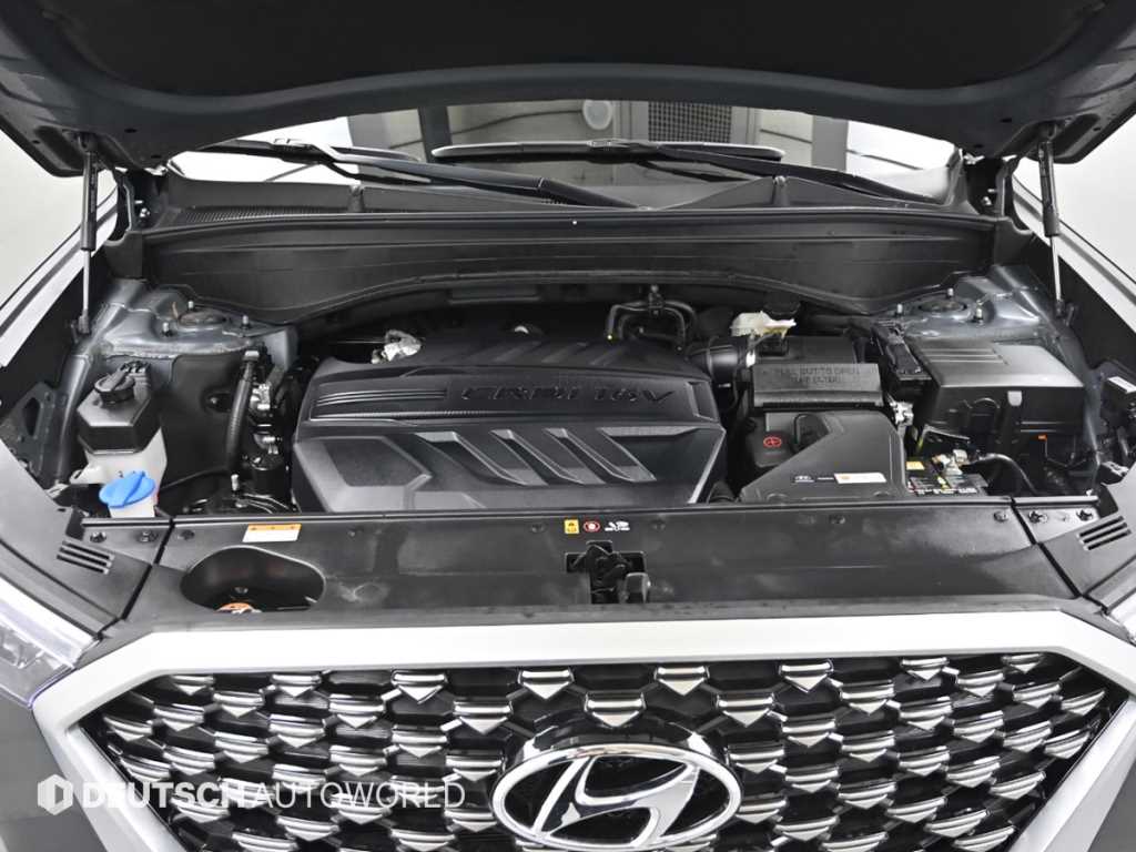 HYUNDAI Palisade - Vista 6