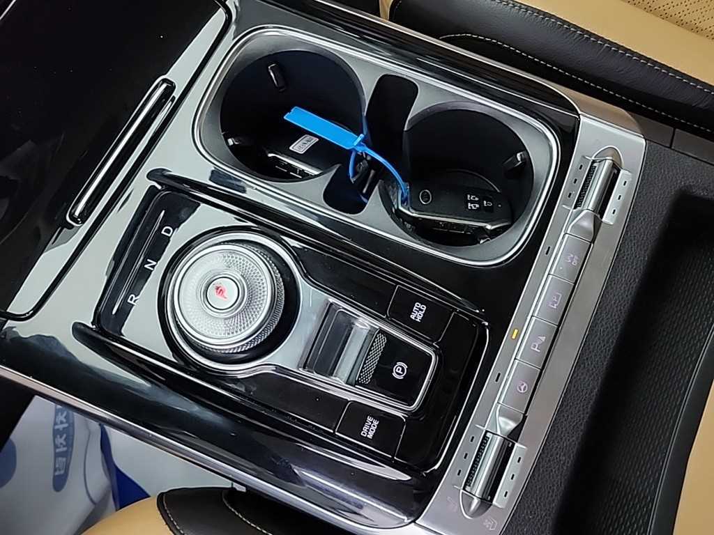 KIA Carnival - Vista 8