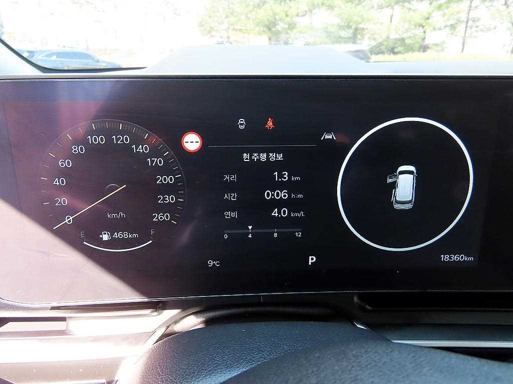 KIA Carnival - Vista 9