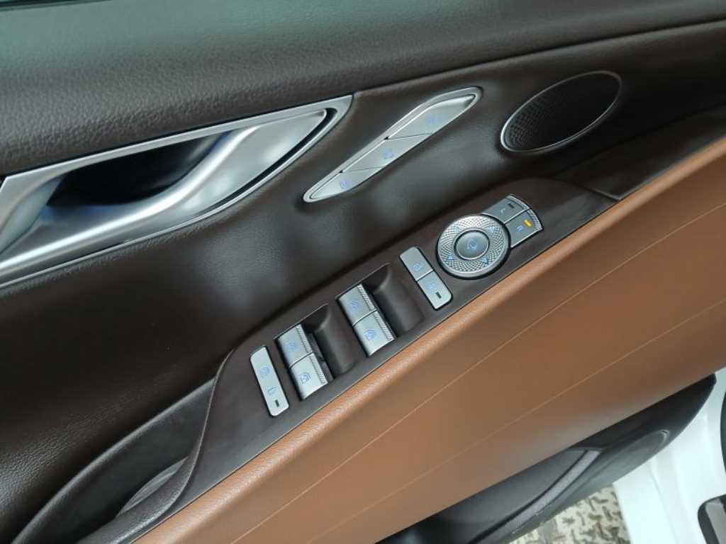 Genesis G80 - Vista 10