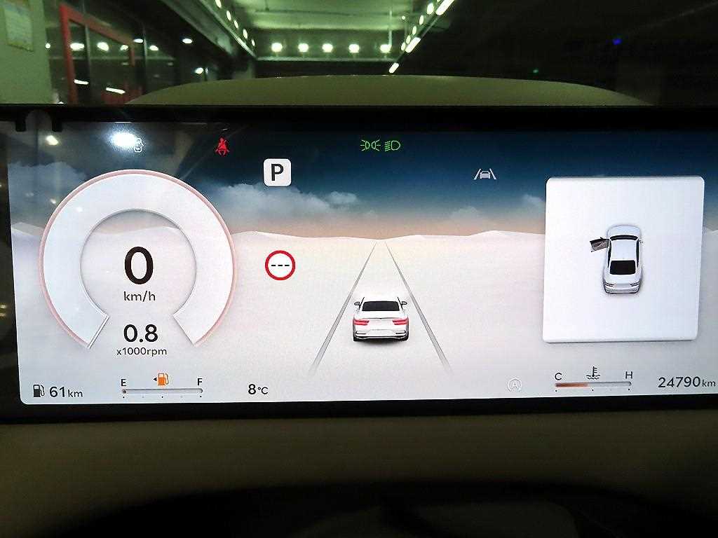 Genesis G80 - Vista 9