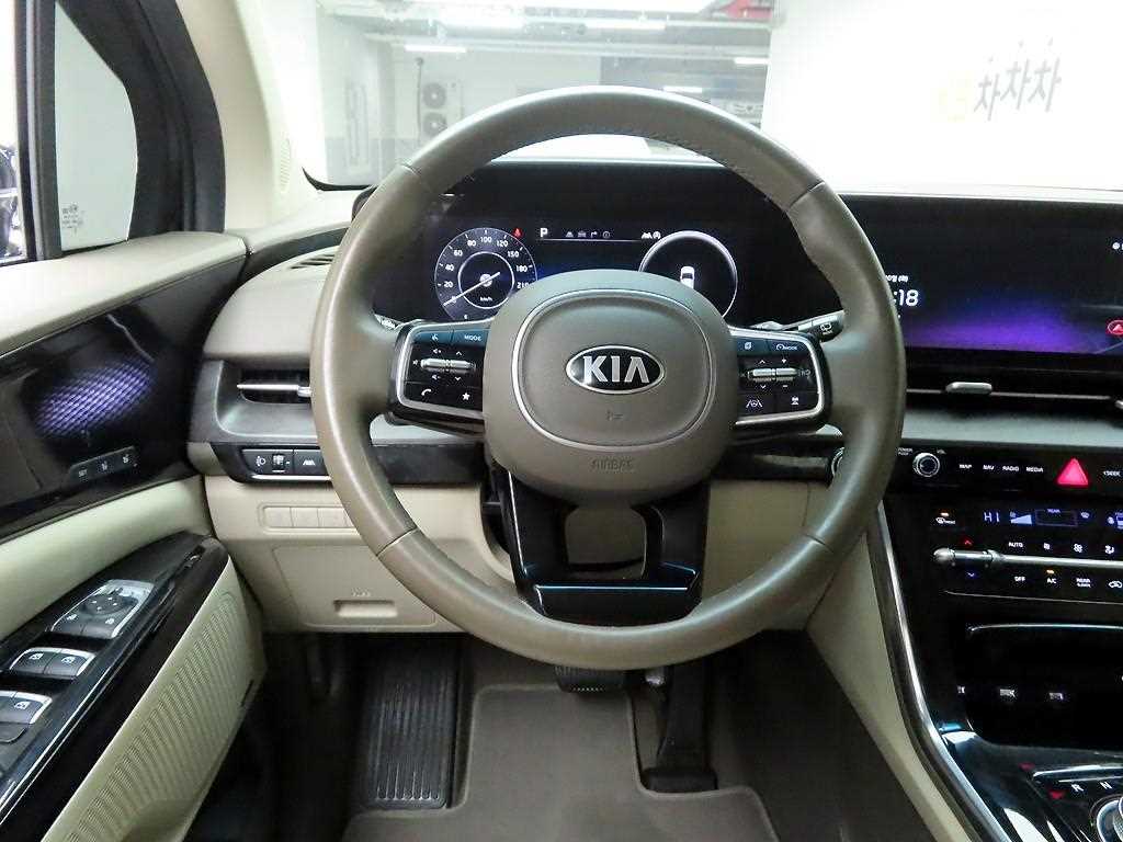 KIA Carnival - Vista 8