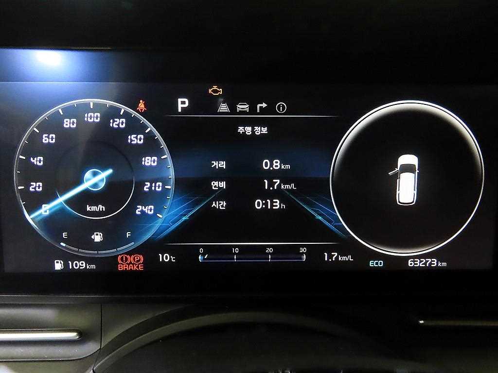 KIA Carnival - Vista 9