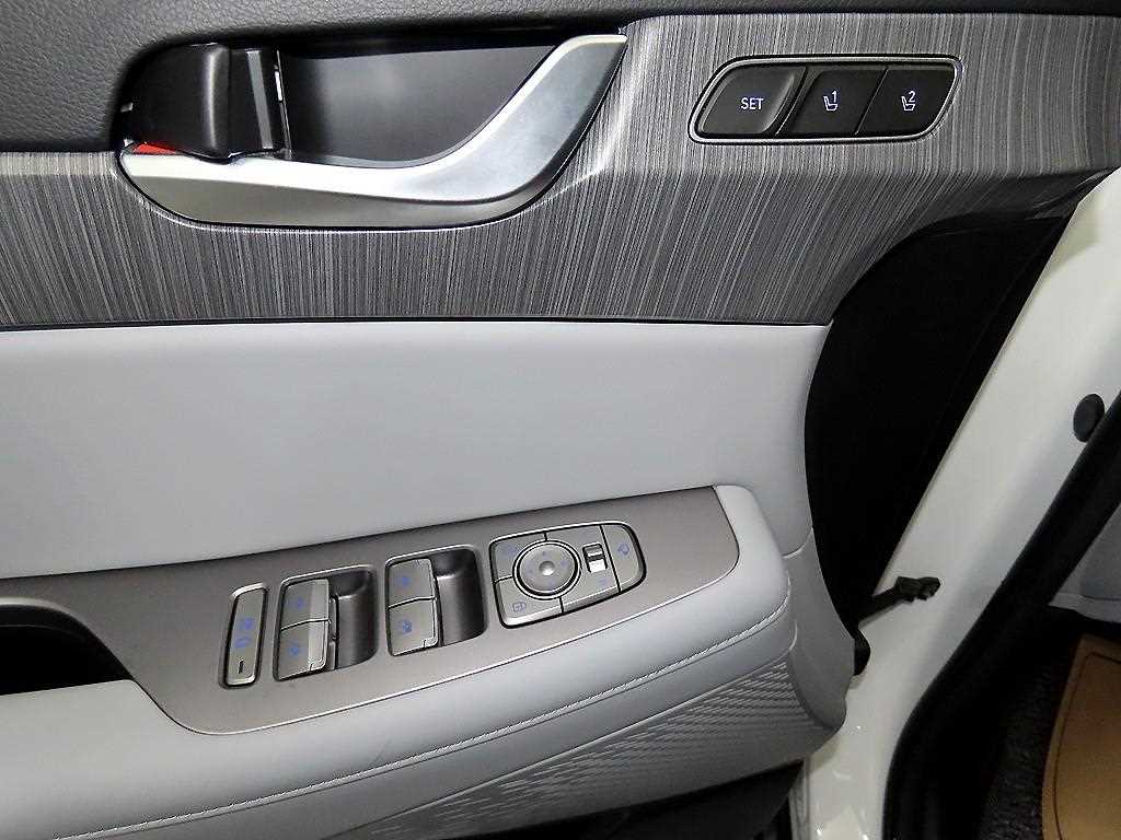 HYUNDAI Palisade - Vista 12