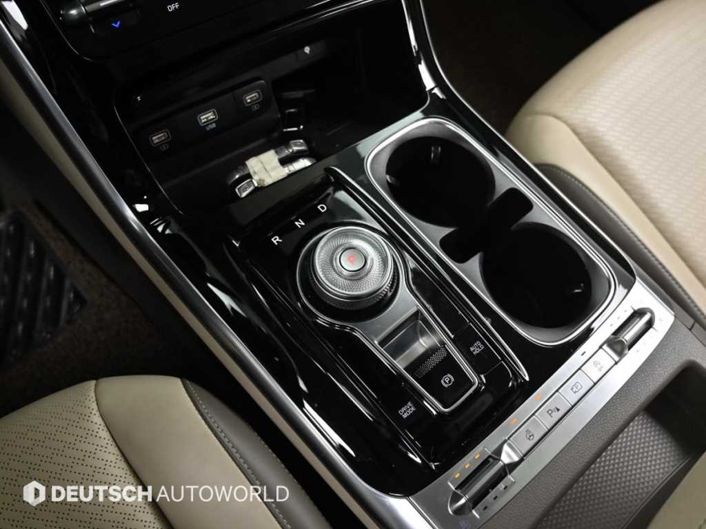 KIA Carnival - Vista 9