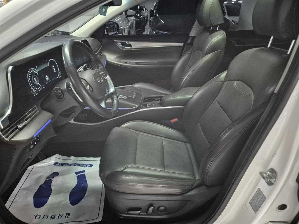 HYUNDAI Grandeur - Vista 6