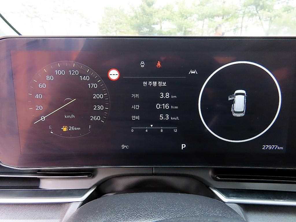 KIA Carnival - Vista 9