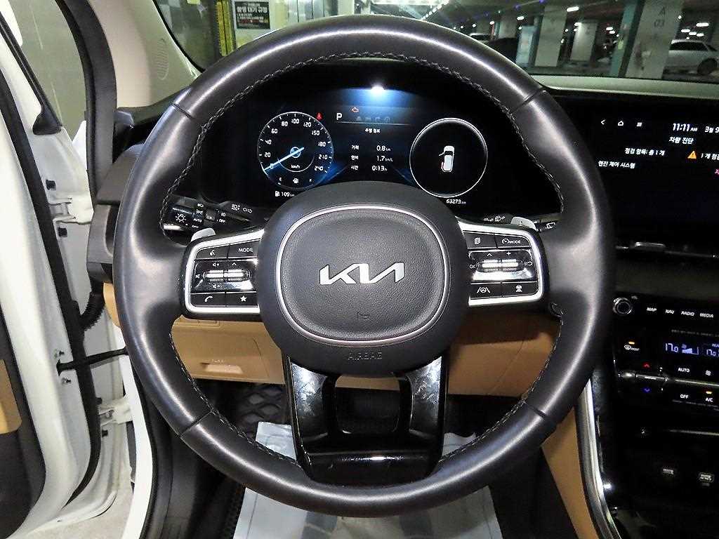 KIA Carnival - Vista 8