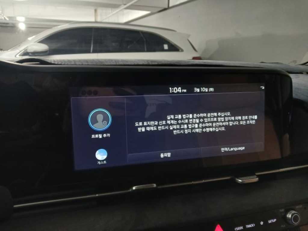 KIA Carnival - Vista 12