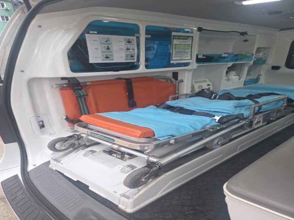 HYUNDAI Starex - Vista 10