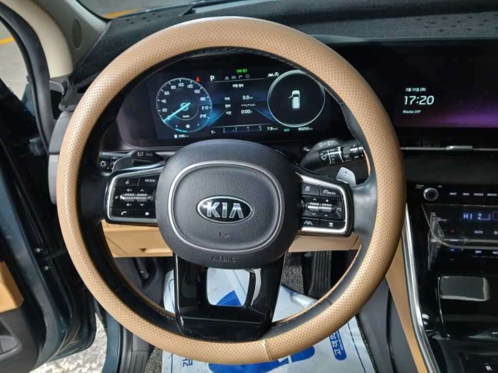 KIA Carnival - Vista 8