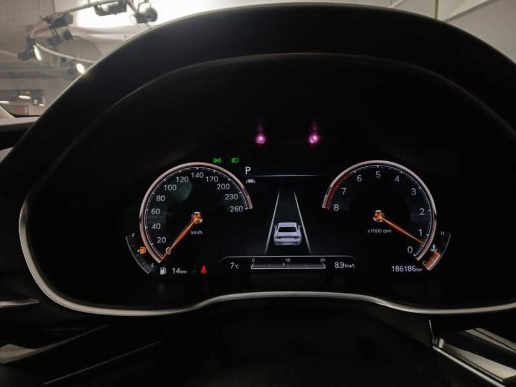 Genesis G80 - Vista 9