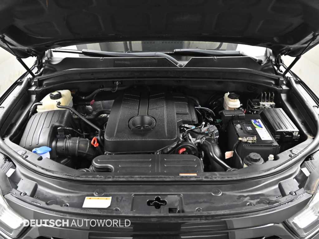 Ssangyong Rexton - Vista 6