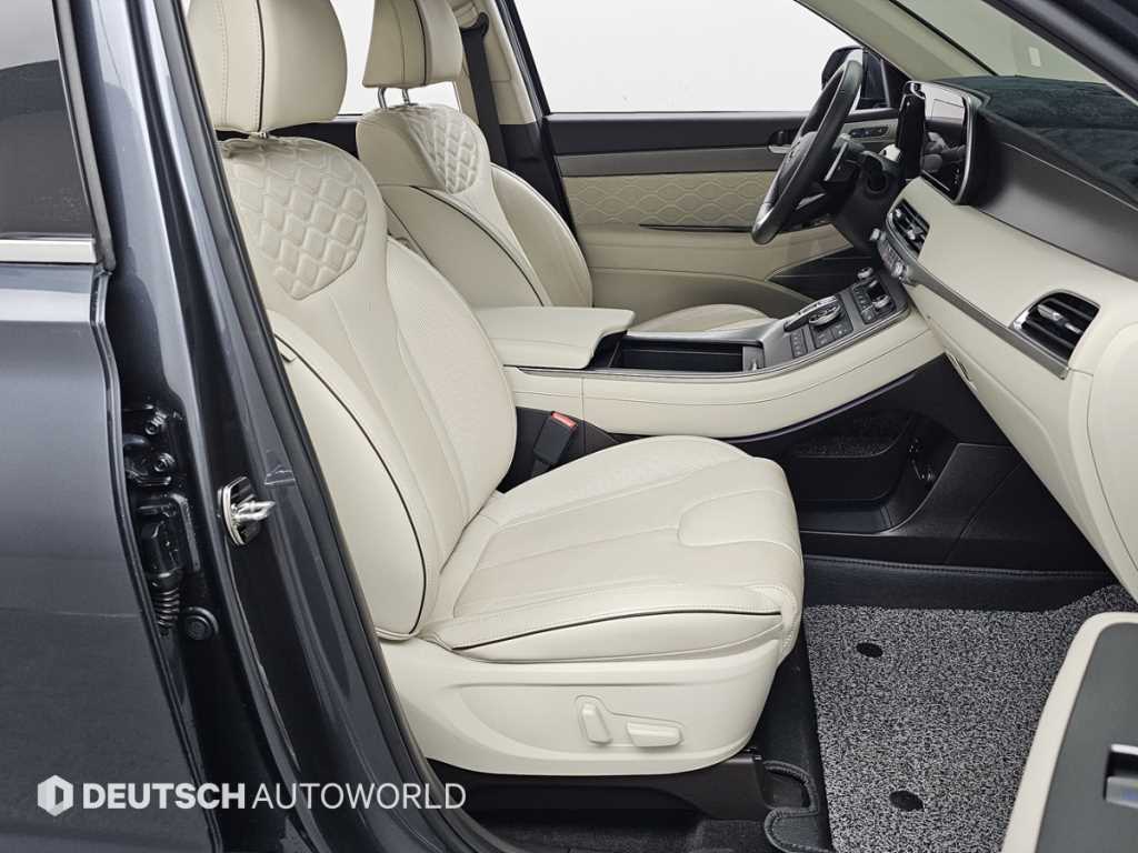 HYUNDAI Palisade - Vista 10