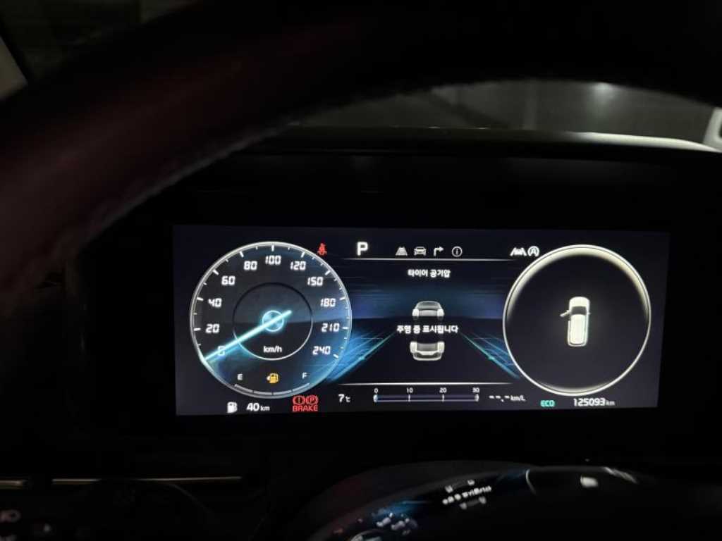 KIA Carnival - Vista 6