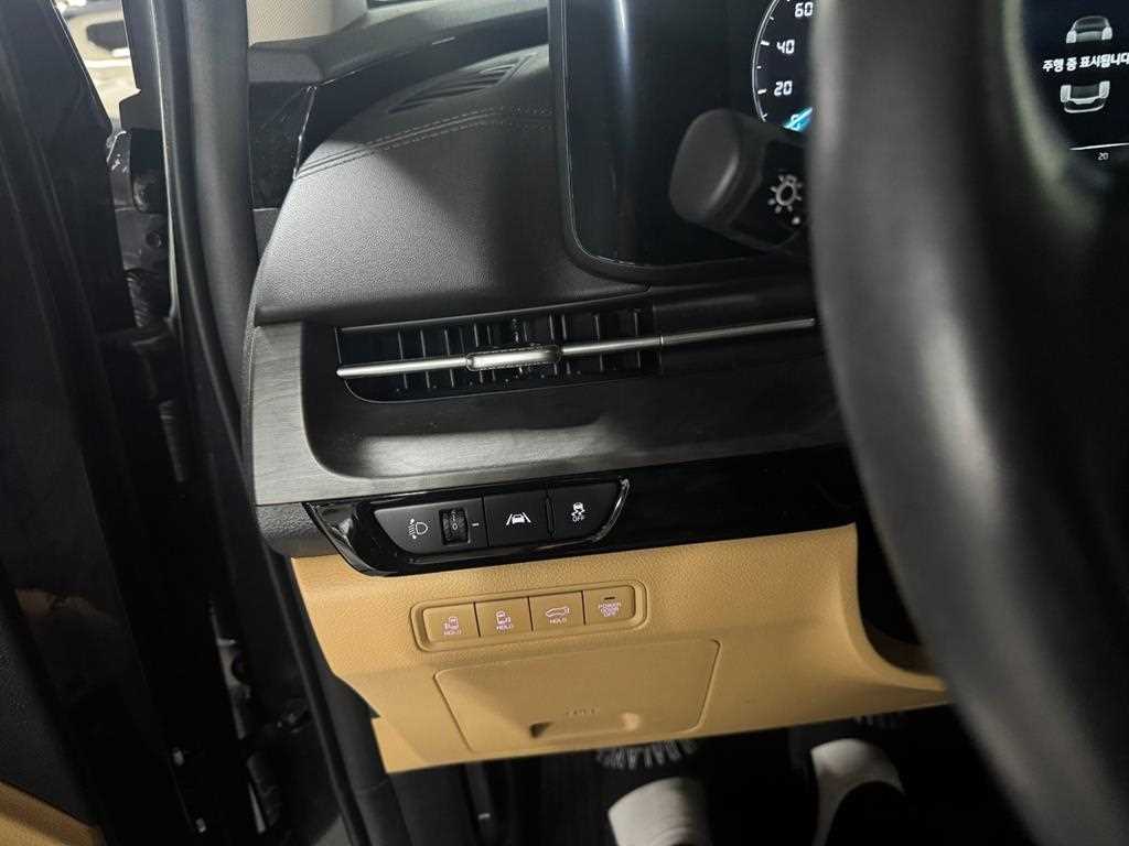 KIA Carnival - Vista 10