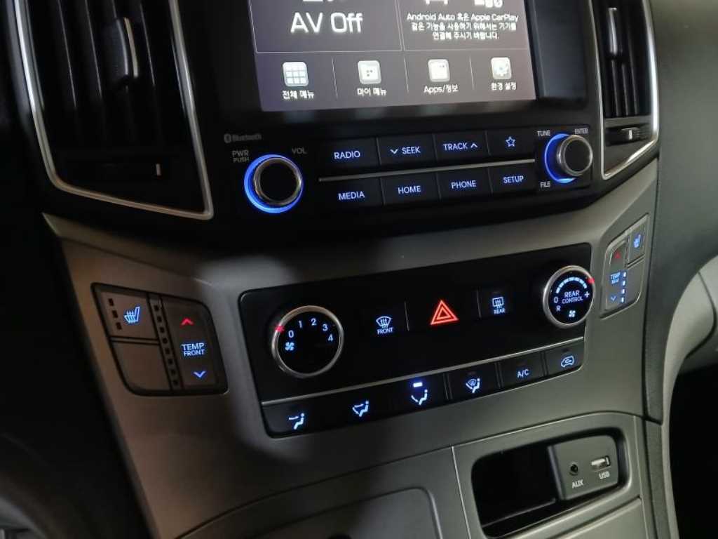 HYUNDAI Starex - Vista 10