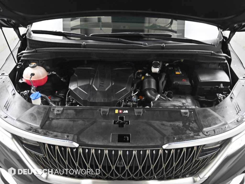 KIA Carnival - Vista 6