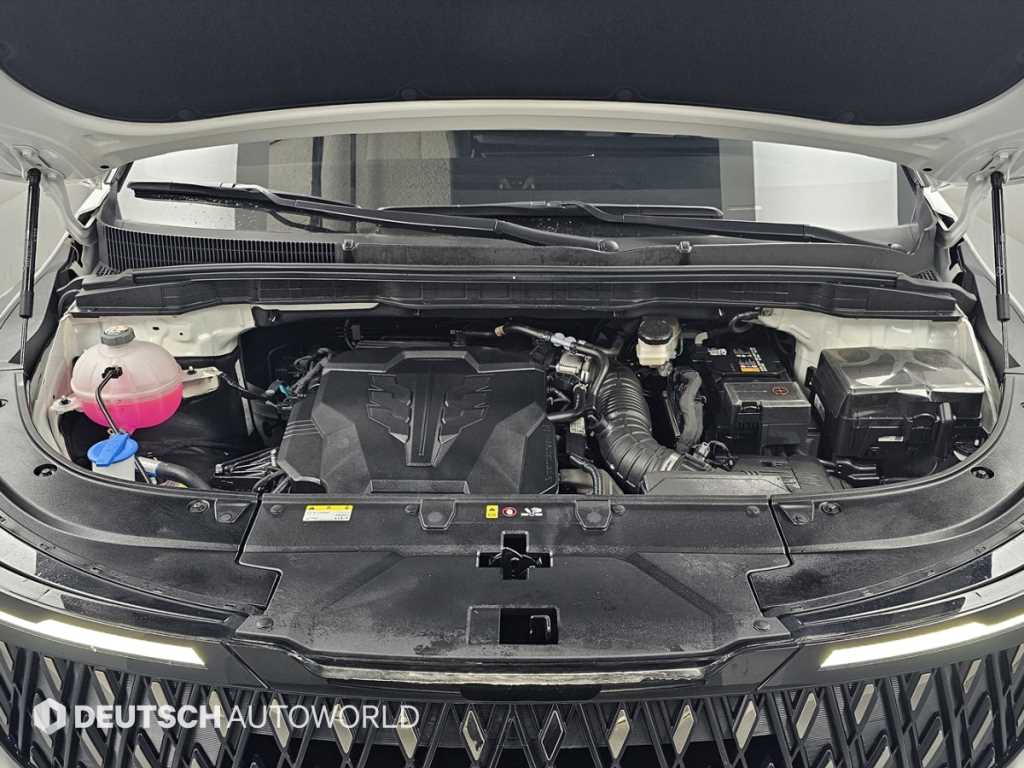 KIA Carnival - Vista 6