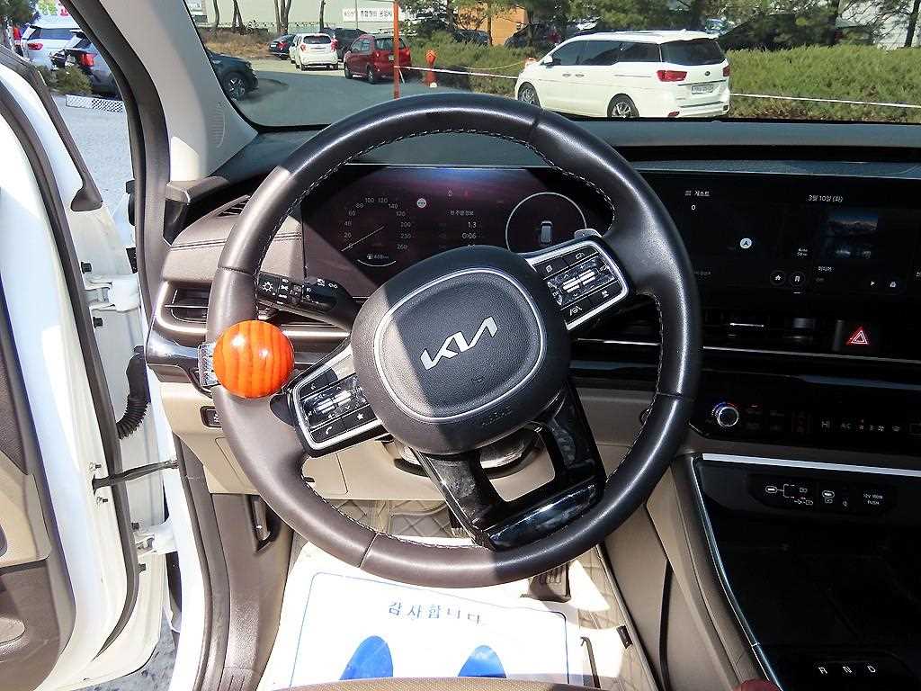 KIA Carnival - Vista 8