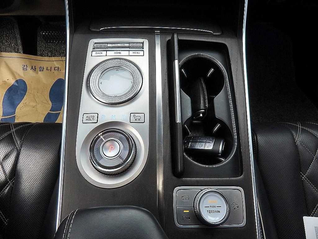 Genesis GV80 - Vista 10