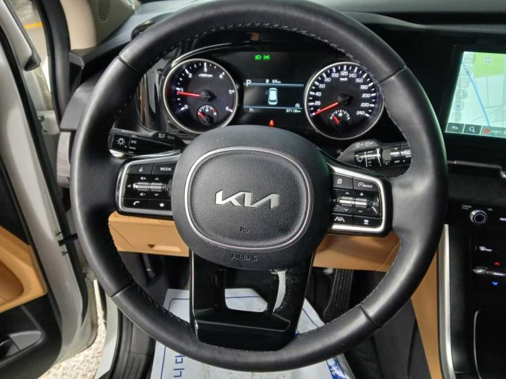 KIA Carnival - Vista 8